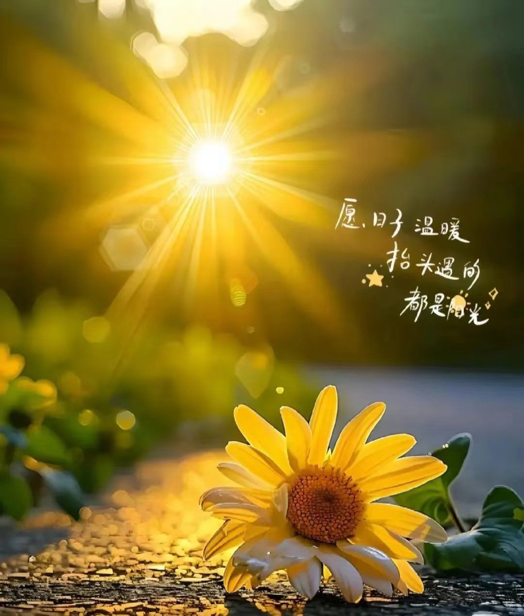 倾听健康 心灵呵护