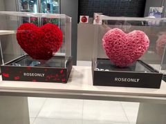 -ROSEONLY诺誓(国际广场购物中心店)