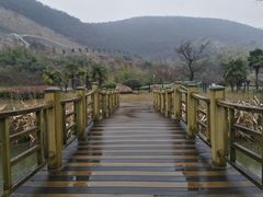 -金钉子远古世界景区