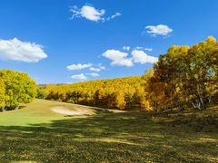 -塞罕坝国家级自然保护区