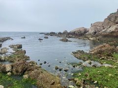 -养马岛旅游度假区