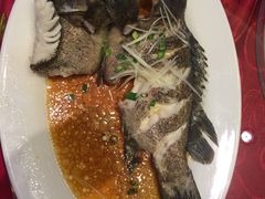 -海岛渔村大酒店(云霄路店)