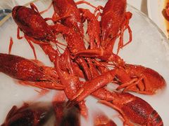 -红盔甲·小龙虾(天钥桥店)