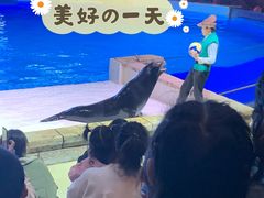 -哈尔滨波塞冬海底世界