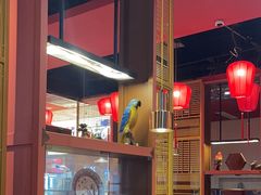 -满园烤鸭·春饼(沈北万达店)