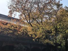 -灵谷景区