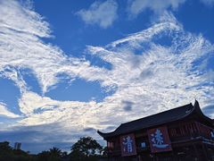 -飞来湖湿地公园