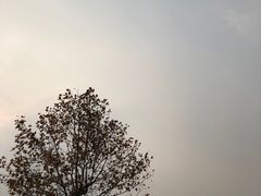 -钟山体育运动公园