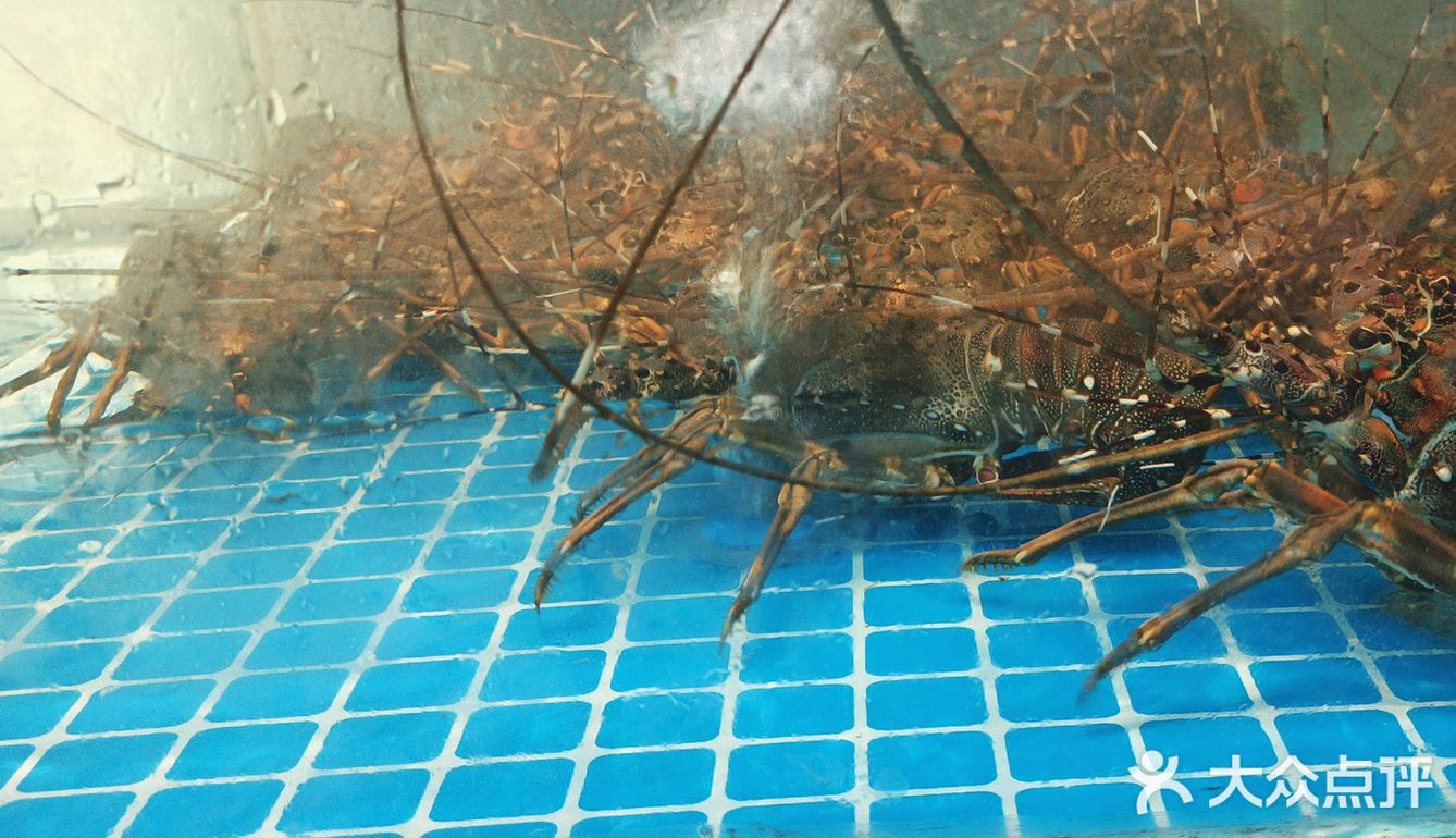 来三亚的宝子们如果想住民宿不如看看亚龙湾 博后村这边