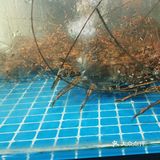 来三亚的宝子们如果想住民宿不如看看亚龙湾 博后村这边
