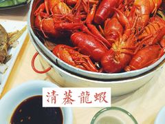 -怪怪龙虾·澳洲蓝龙上新(惊驾路店)