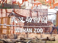 -武汉动物园