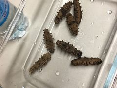 -AEON永旺(东方宝泰店)