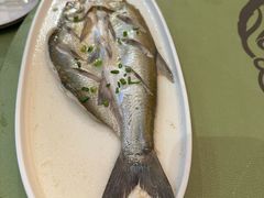 -沈厅酒家(周庄店)