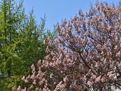 -北京西国贸大酒店