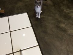 -MIKAKU(万达广场上海宝山店)