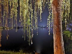 -艾溪湖湿地公园