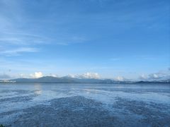 -深圳湾公园(南山区)