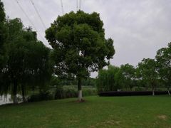 -九里河湿地公园