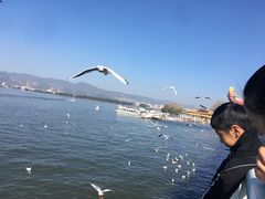 -海埂大坝