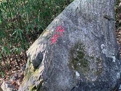 -玉女潭景区