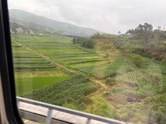 -苍山感通索道