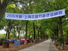 -上海鲜花港