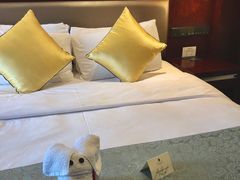 -常州环球恐龙城维景国际大酒店