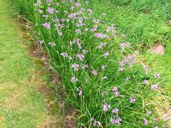 -苏州河梦清园环保主题公园