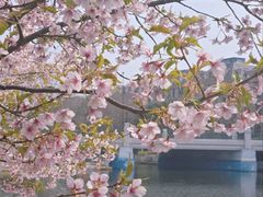 -新江湾城公园