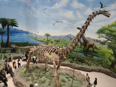 -辽宁古生物博物馆