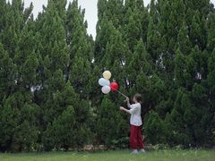 -南沙蒲洲花园