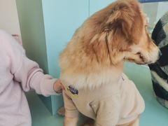 -怪兽屋·羊驼·猫咖·狗咖(俊华广场店)