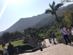 -龙泉人椰子鸡.糟粕醋.海南菜(三亚旗舰店)