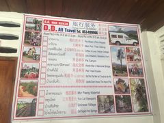 -大树秋千