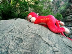 android_upload_pic-云台山风景名胜区