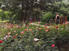 -长辛店二七公园