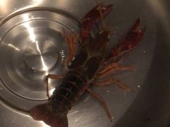 -叁宝烤肉• 西安烧烤(高科新花园店)