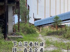 -黄埔油麻山森林公园