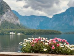 -布劳伽斯特豪夫哈尔施塔特宾馆