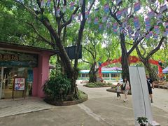 -广州长隆飞鸟乐园