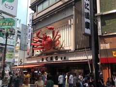 -蟹道乐(道顿堀本店)