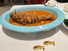 -阿五黄河大鲤鱼(海尚店)