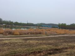 -潇河湿地公园