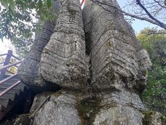 -山王坪喀斯特国家生态公园
