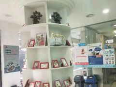 -特一安24小时宠物医院·骨科·中兽医