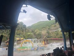 -西双版纳原始森林公园