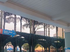 -海合安成都极地海洋公园