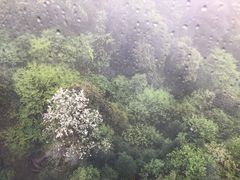 -井冈山风景名胜区