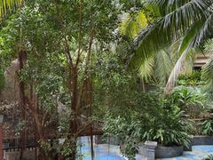 -海南清水湾莱佛士酒店